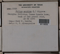 Image Associated With the Occurence